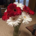 flowers watkin blog